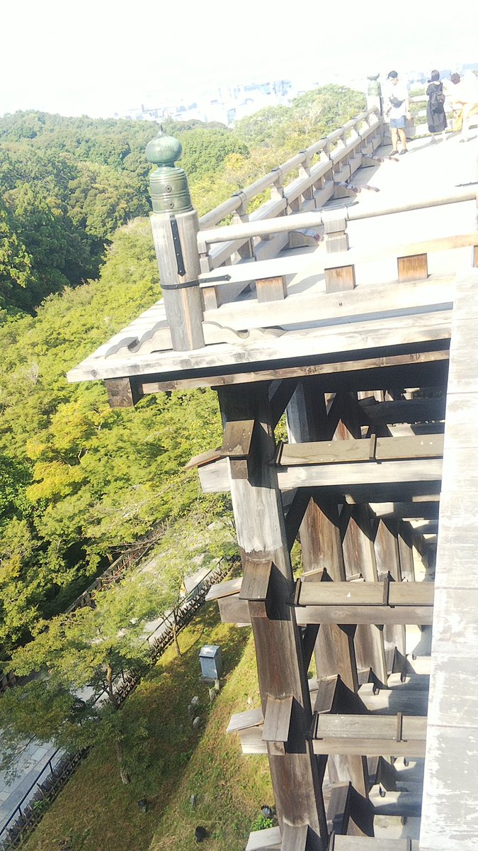 MIT12340's tweet photo. 清水寺
清水の舞台から…
#水戸サポ京都遠征 https://t.co/cCVAJe9sC8