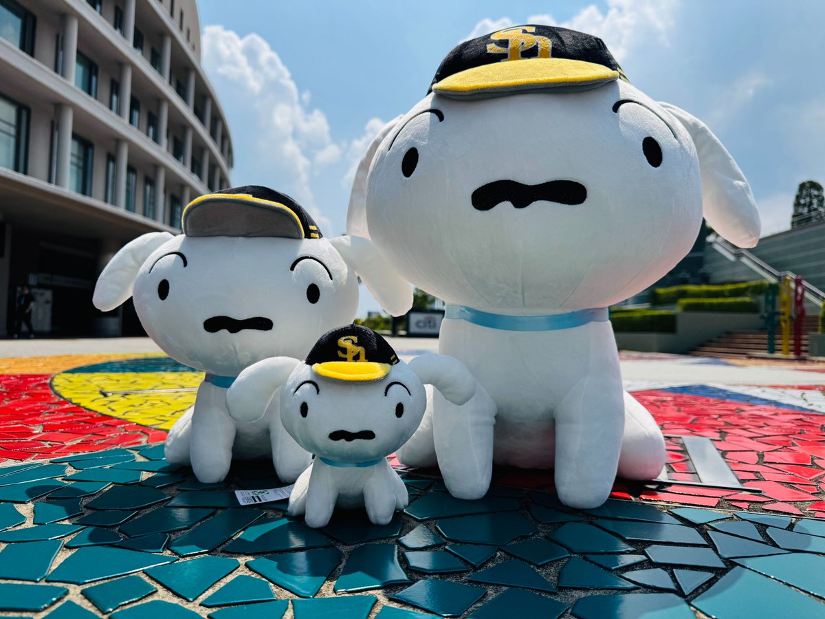 ソフトバンクホークス ぬいぐるみくじ シロ 2等 福岡ソフトバンクホークス公式グッズアカウント on X: 