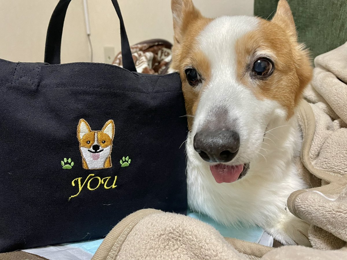 WCorgiYou's tweet photo. 優の名前入りで作ったお散歩バッグ🐶👜
今は私のランチバッグとして使ってます。

「コーギー飼ってるんですか？」と聞かれることもあり会話のきっかけになったり話が弾んだりもしばしば。

優が残してくれたものは思い出だけじゃなく人とのご縁として今も形を変えながら続いているんだなと感じます。 https://t.co/367jBLLtw9