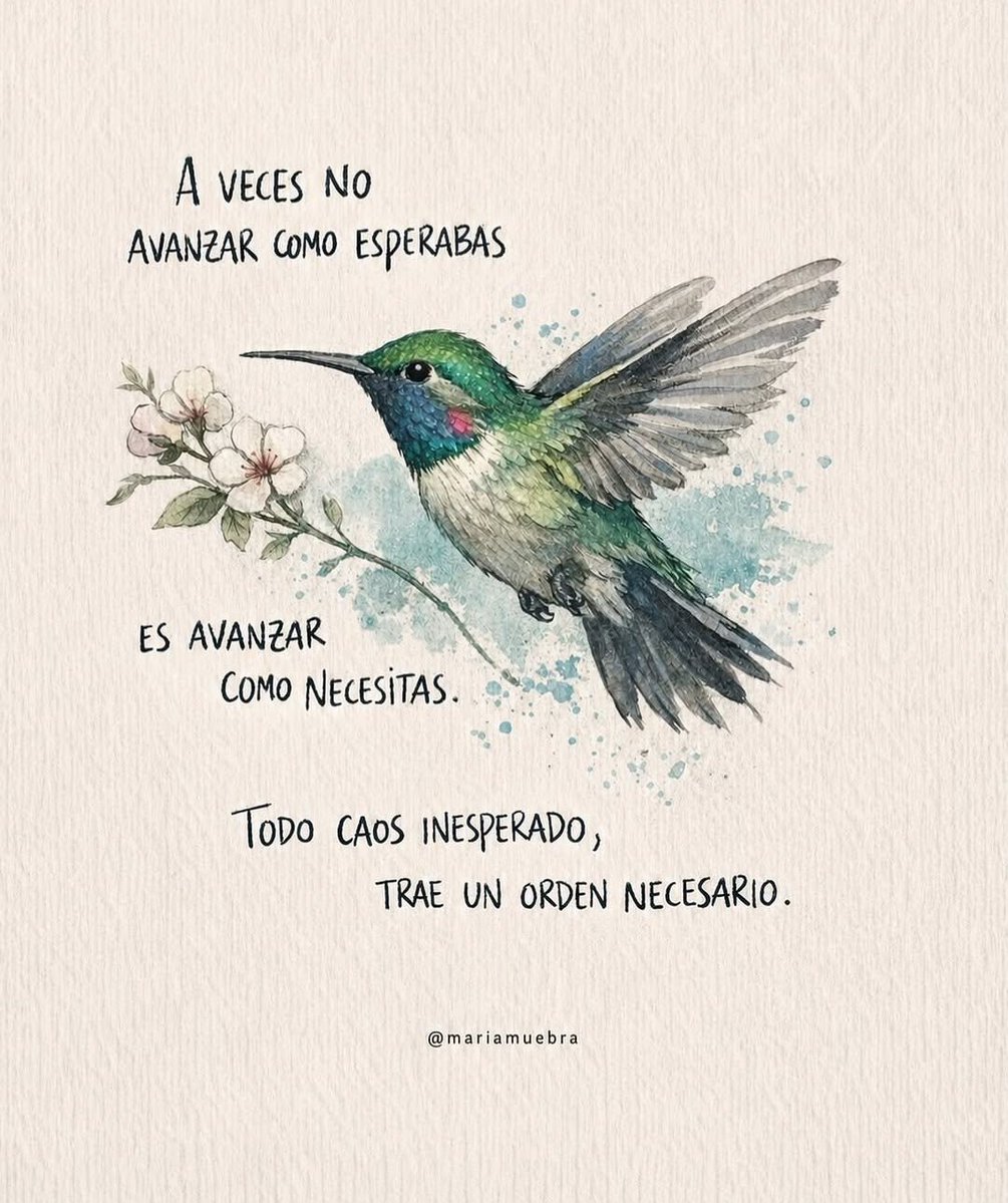 avanzandoacasa's tweet photo. Buen día ❣️ https://t.co/7mcCAL1RUr