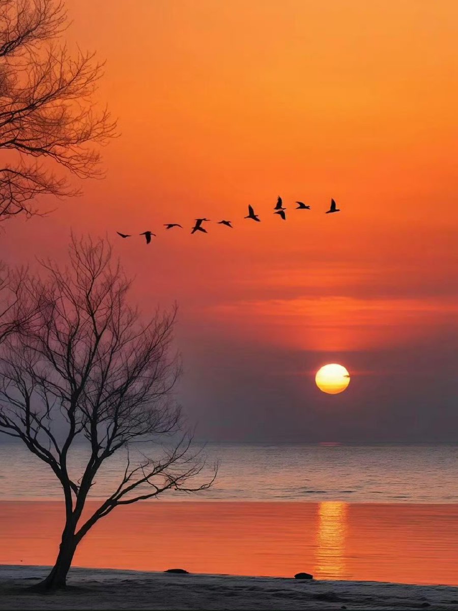 RebekaFilova's tweet photo. Our Campus Photography Club is hosting a half-hour sunset portrait shoot at the North Campus Lake this Friday 6-6:30PM! All skill levels welcome, just bring your phone or camera to capture golden hour vibes and meet fellow photo lovers. https://t.co/kbfwfP9HjL