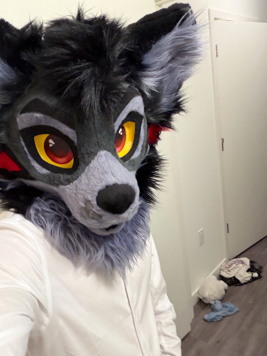WuskyWillowAD's tweet photo. Willow gets a little bored after work o_O #fursuitfriday #furry #dirtymirror #lgbt #mlm https://t.co/dZ3Zzg8Pi1