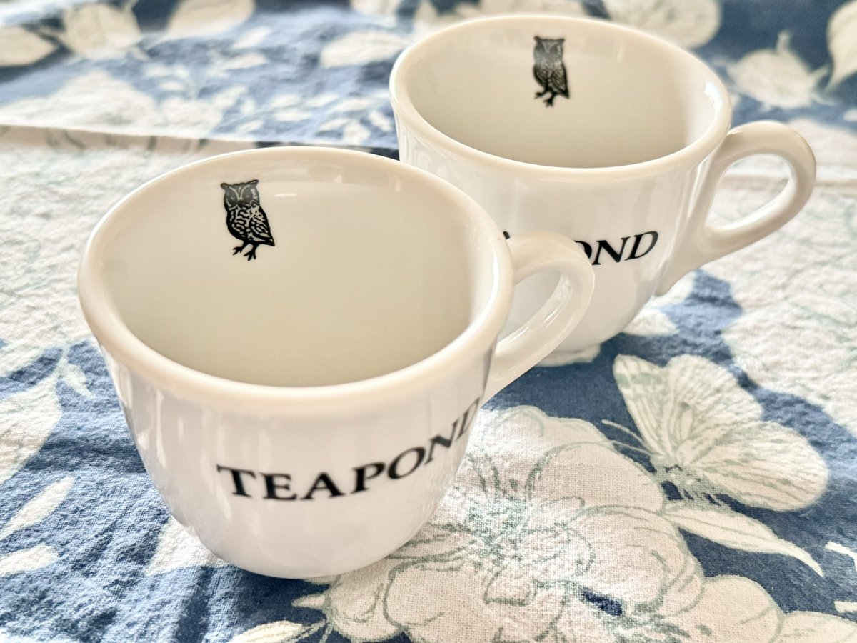 eyes_birds's tweet photo. この前の遠足で寄ったTEA POND🦉
これまた日本人サイズのティーカップ☕︎色々紅茶お試しはティーバッグ2つ入り。全部イラストが可愛い🐈⬛🥭🐓🐞🍀🕊️紅茶ごとに淹れ方カード付き🫖クリップは選べないね🖤🤍お茶が楽しくなるアイテムがいろいろあったよ❤️
#TEAPOND https://t.co/0zj2jIpTn0