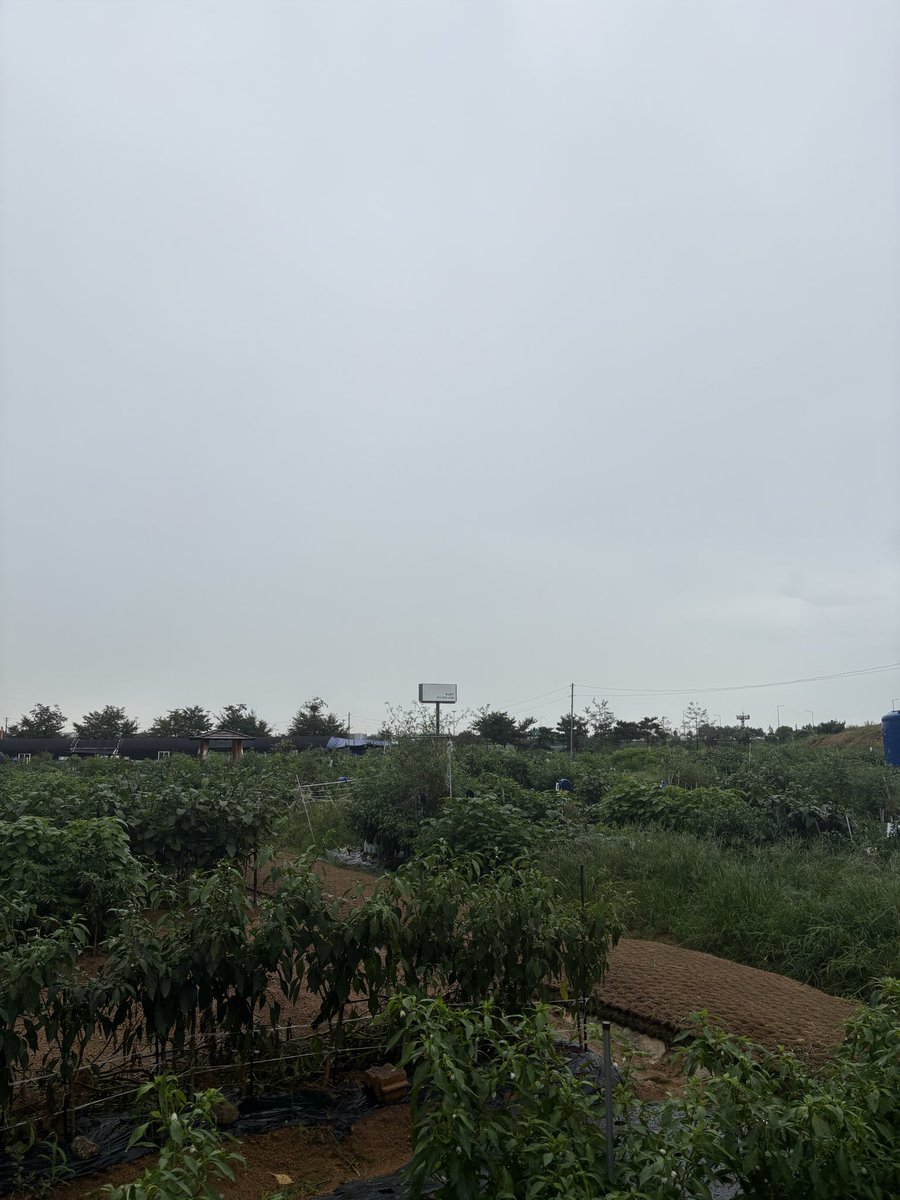 TaiQi23095's tweet photo. 这种地是每家每户分着种的吗 https://t.co/YK1zUxhvkb
