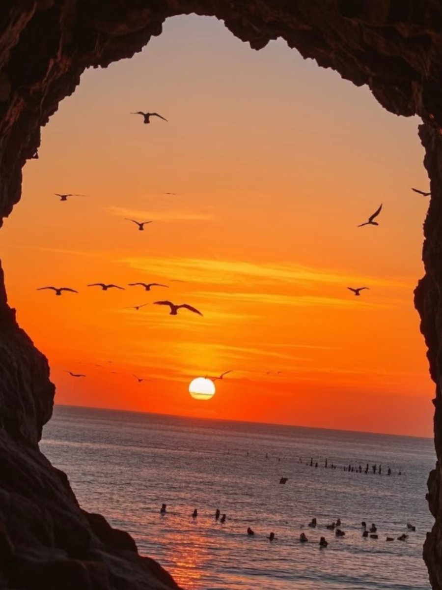 HlxKhn95879's tweet photo. New to photography Start with mastering natural light—shooting during golden hour (1hr after sunrise / 1hr before sunset) instantly elevates your photos, no fancy gear needed! https://t.co/Iz5jEJQjD7