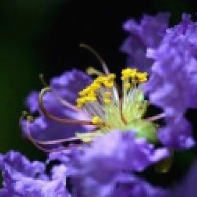 la_blanquilla's tweet photo. Your energy is sacred currency. Invest it where it multiplies love.   💎 🌐 🌱 https://t.co/D1XOQQu8mj