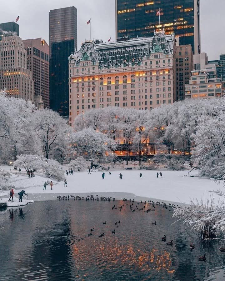 NaturalWorld515's tweet photo. Winter in New York https://t.co/8RQJn52S3H