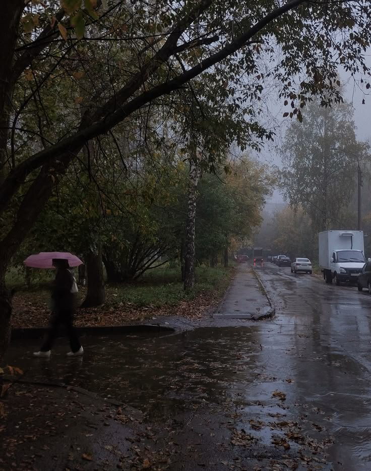talya9646171863's tweet photo. Autumn rain 🍂☔ https://t.co/CbYPv4K6eV
