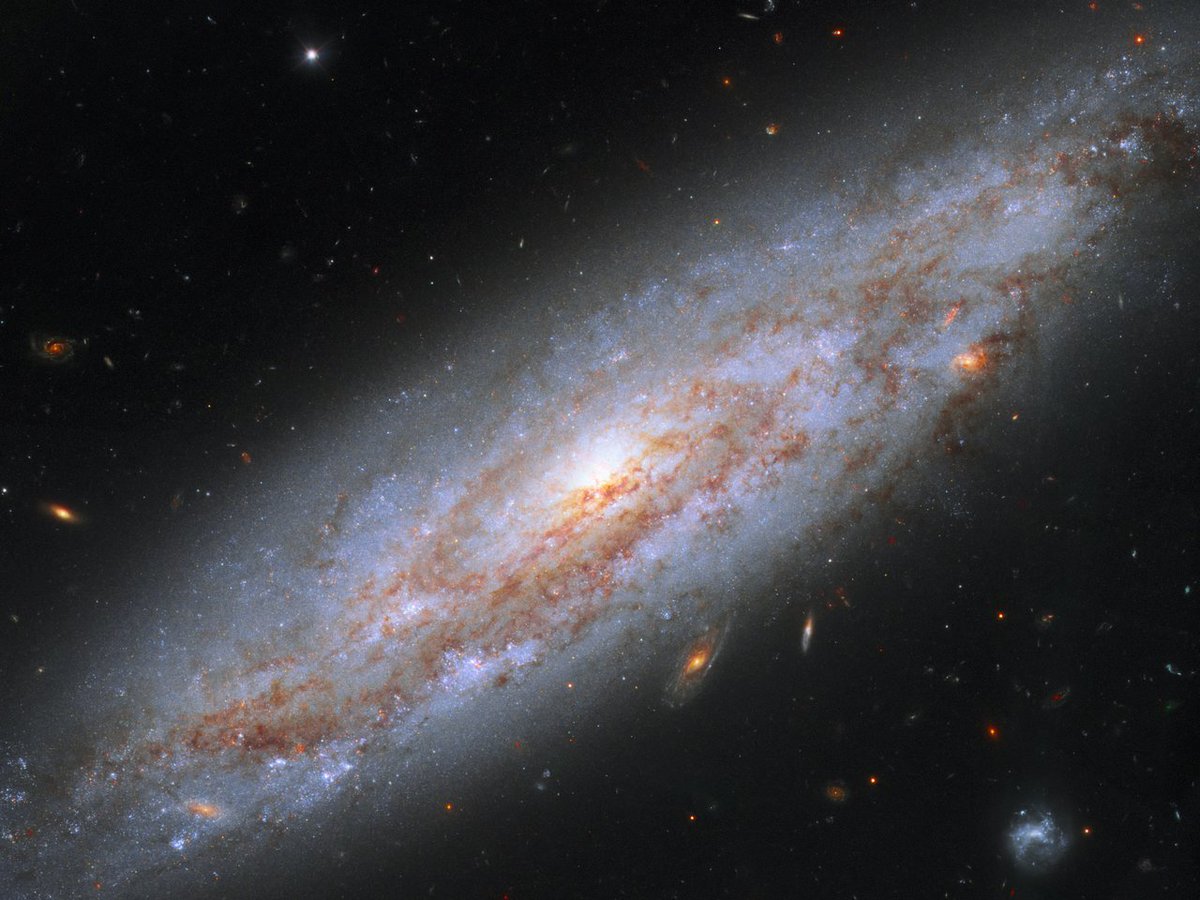 DailySpaceNude's tweet photo. Day 1314 - NGC 3972
📷Hubble
#Space #Astronomy #Hubble https://t.co/86ZA7YJjG9