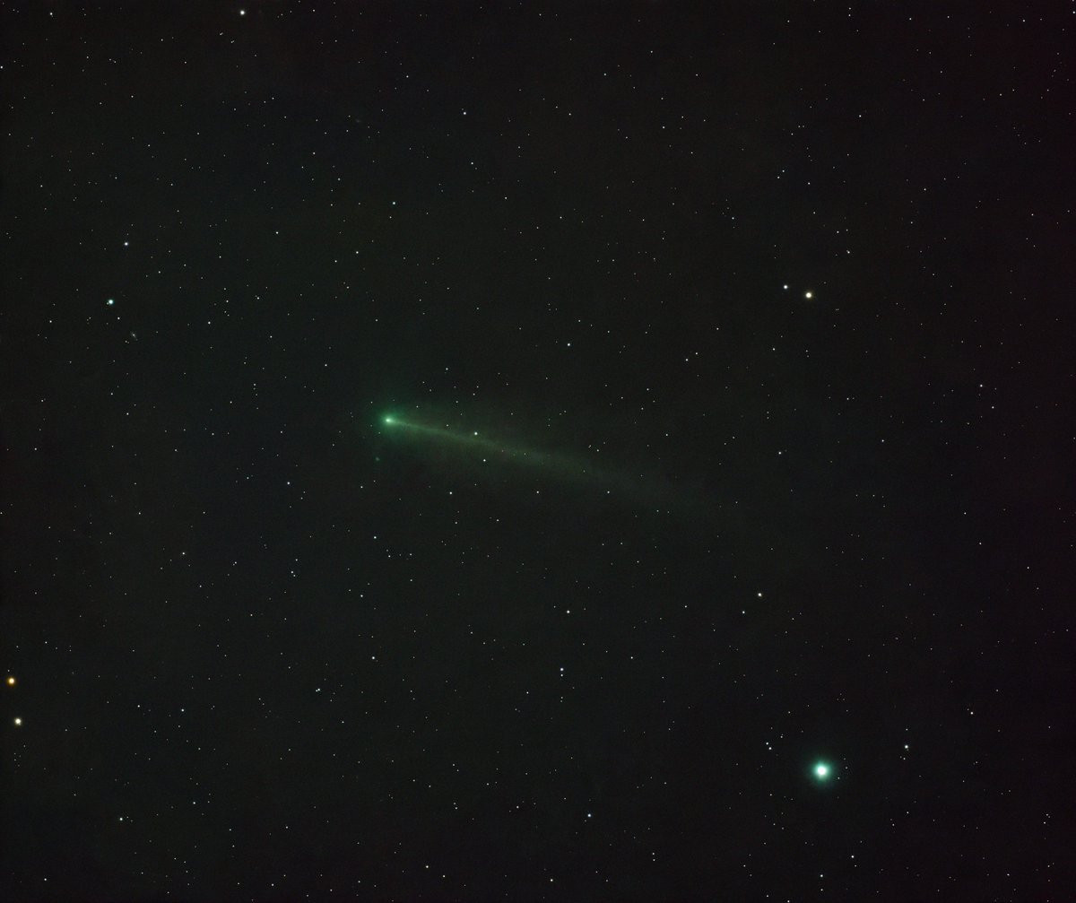 ShigeshigePyon2's tweet photo. 220P/McNaught（2026） マクノート彗星
2026年8月20日2:46
換算焦点距離825mm  
30秒×25枚
千葉県君津市にて撮影
帰路につく前にちょっとだけ撮影しました。 https://t.co/rgRtVI37de