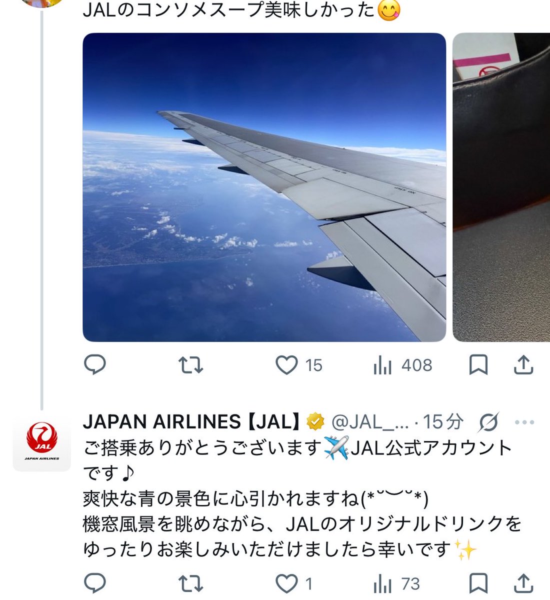 hitoshy's tweet photo. JAL公式がマメにリプライしてるけどなんかあったの？ https://t.co/YSyqBO67HL