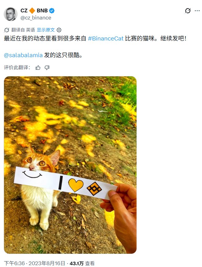 guoxf23's tweet photo. 本来以为要被套，行情迎来反转，值得保持关注。
BinanceCat：CZ唯一转发互动过的猫咪相关题材。
由BinanceCat竞赛带动起平台猫咪MEME热潮，标志性橘猫搭配微笑便签、爱心与BNB标识。
参考Robinhood “Cash Cat”开启牛市的叙事，社区在探讨创始人关联的BinanceCat是否会复刻行情。
BSC链现金猫，蝴蝶发射。
CA:0x66c28ec12ffebee81be7a0865d871bf96ba47777
 
⚠️仅社区叙事交流，不构成任何投资建议，MEME币波动极大，风险自担
#Meme #BNBChain #Crypto