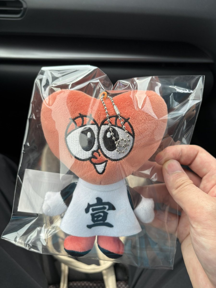 honen_kofi's tweet photo. だあーー、やっとぱぶぬいお迎えできた😭 https://t.co/NxM4szgqqP