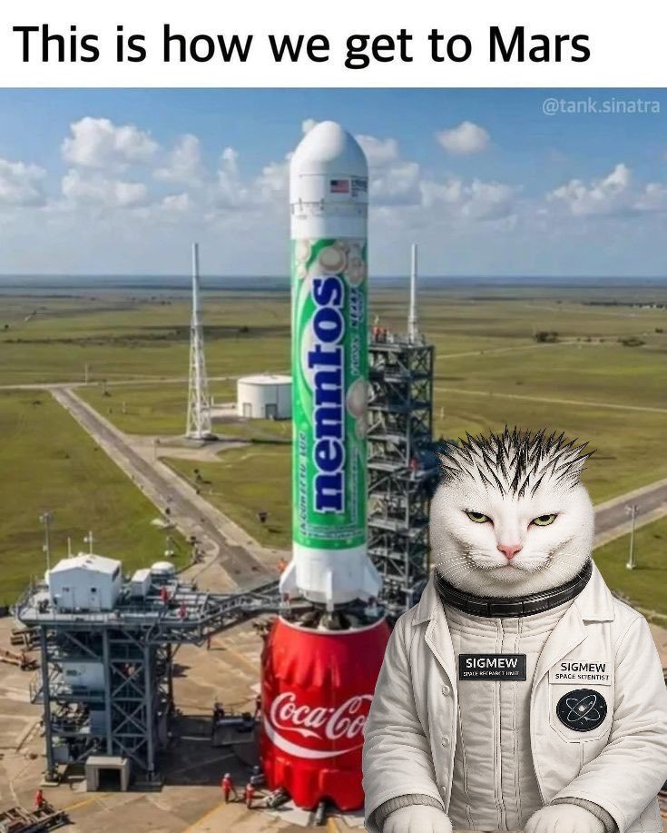 SirGodSpeed_2's tweet photo. Locked in, completely unbothered, mildly damp, and ready to pump this token to the moon. $sigmew https://t.co/TRlDUNEtuS