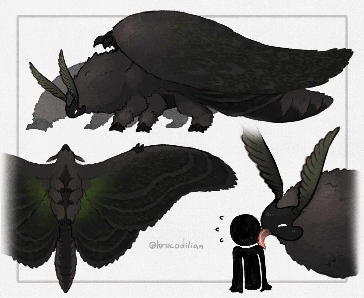 krocodilian's tweet photo. more moth 🤎 https://t.co/QByee6FSY6