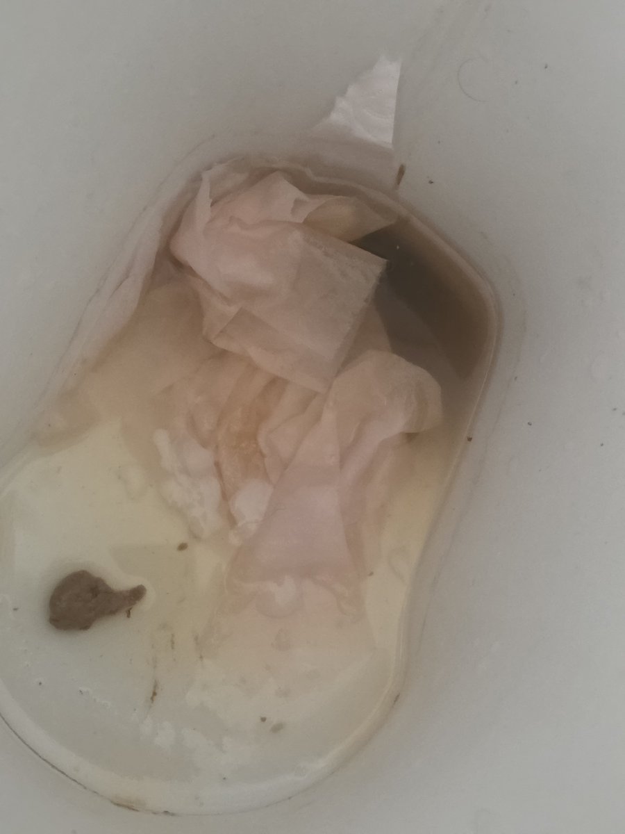 andry1466034842's tweet photo. Good morning, everyone! Had a really good shit this morning and jerked off — what a wonderful start to the day! 😁
#gayscat #gaypig #pig #gay #shit https://t.co/OBVkXmdieH