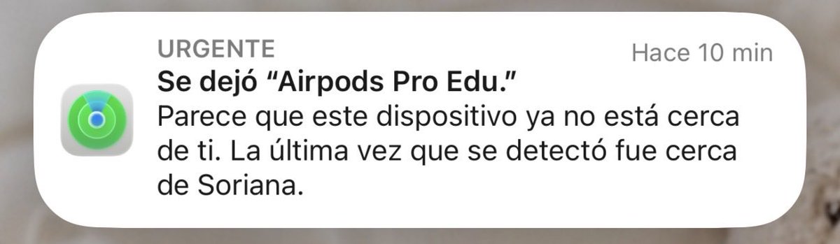 eduaarrrrr's tweet photo. la mitad de mi vida se quedó en mi trabajo, pipipi.🫩 https://t.co/3KepBiaA9w