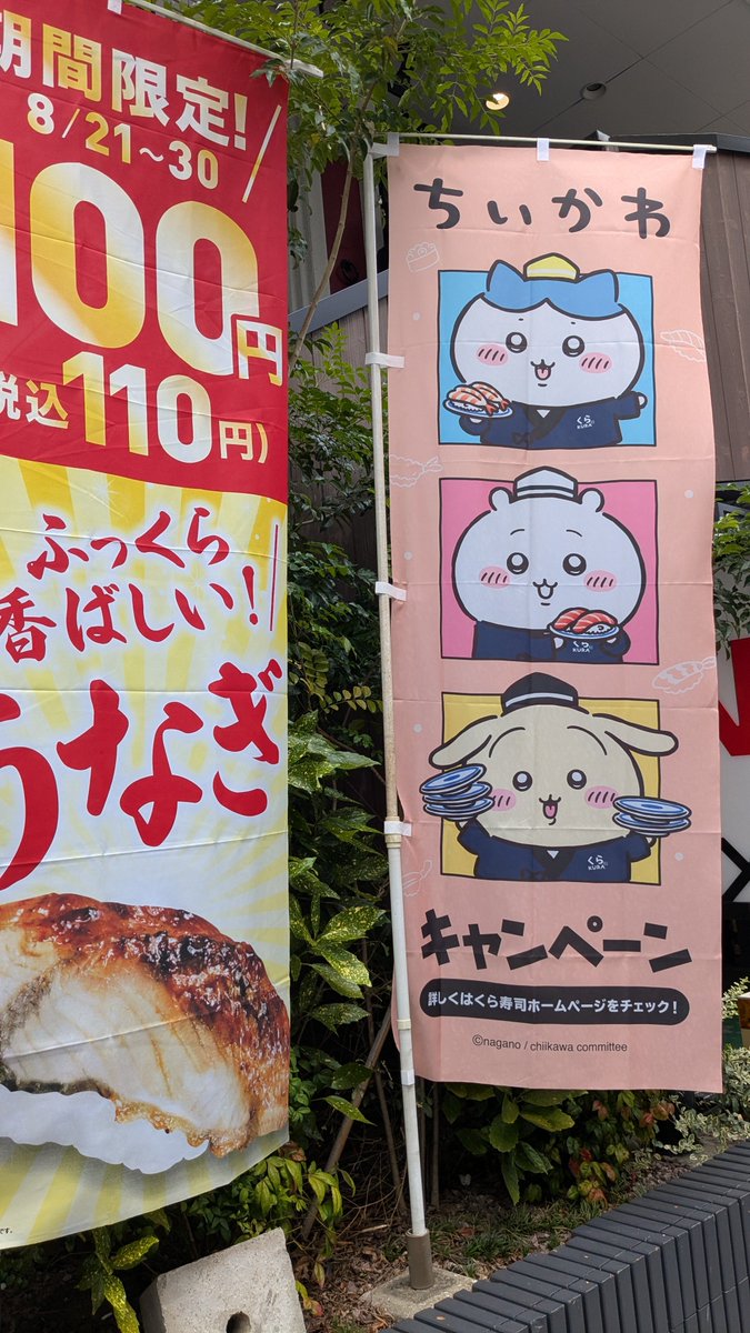 anmitsu_swa's tweet photo. くら寿司 ちいかわコラボ
フードファイトしてきた💪
午前中予約最強✨
朝の方がシャリもネタも美味しい(私見)

ひたすら
おまけ付き6貫セットを食う…

ビッくらポンプラスにして
携帯から注文！携帯から注文！(大事な事は2回言う)

6貫×11個w食べた結果がこちら〜
明日の朝に再チャレ予定… https://t.co/YfWudsvPid
