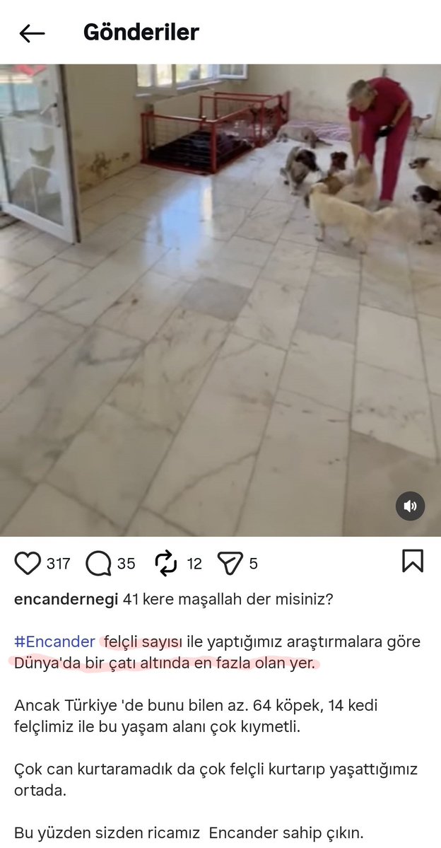 sedaunlern's tweet photo. Kendini dünyada en çok felçli hayvana sahip barınak olarak tanıtıp; sizden para isteyenlere itibar etmeyiniz. https://t.co/gA5SJO6MDY