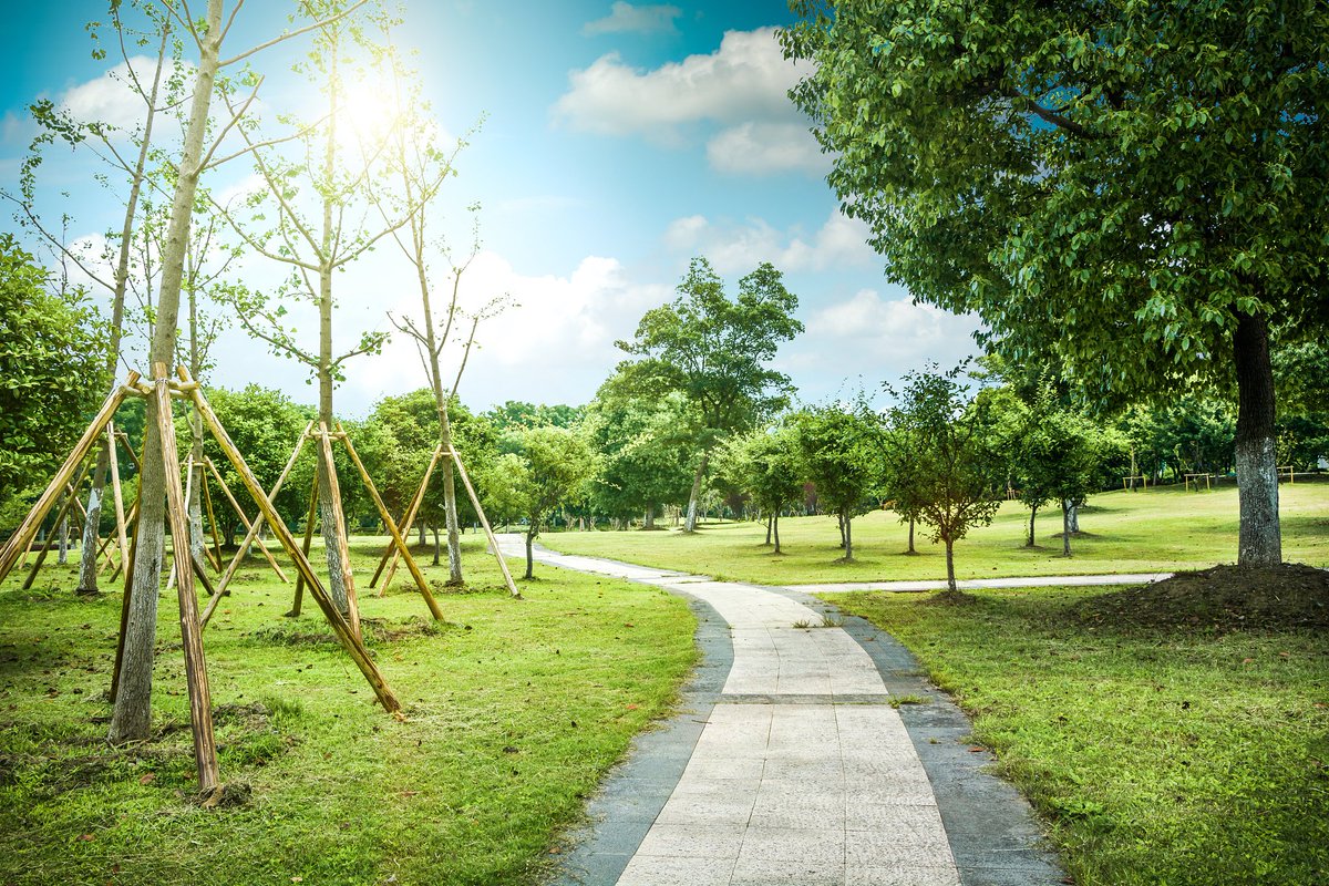 GenesisFrameku's tweet photo. Hoy hace un sol precioso, ideal para caminar por el parque! https://t.co/oMYfGIoPDQ