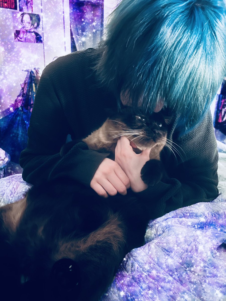 SalmonSized's tweet photo. I love my cat so much https://t.co/dBIirPM0YE