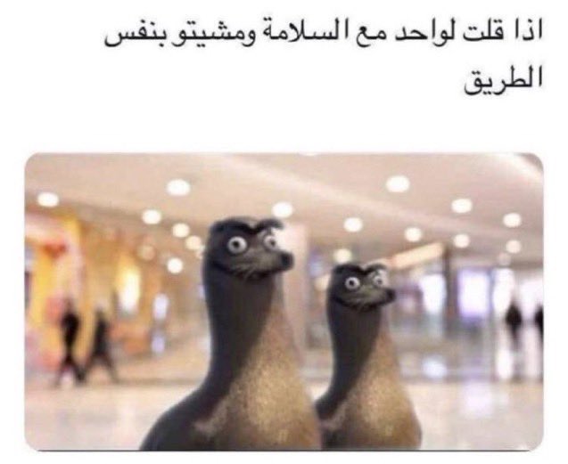mes_li28's tweet photo. بنزيما https://t.co/ru9oL3CjpS