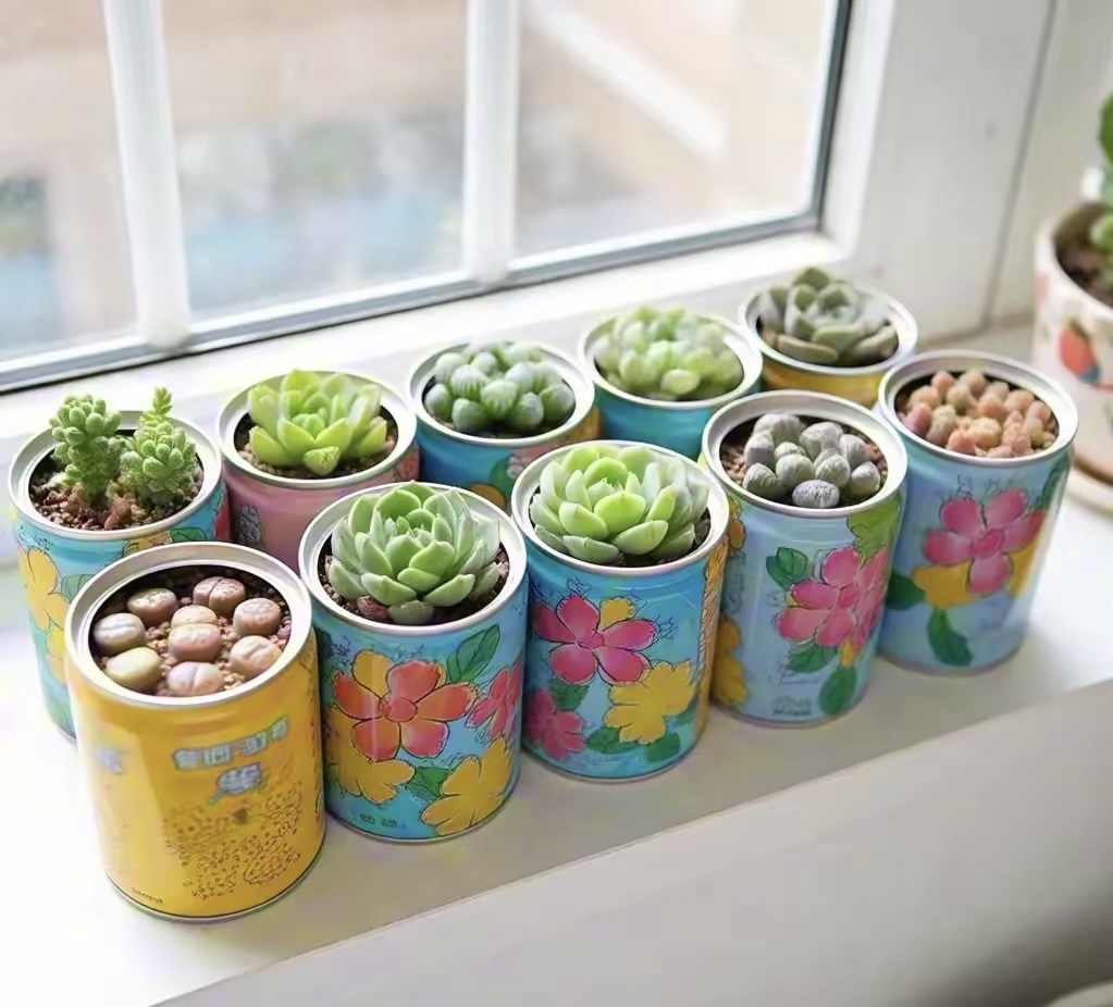 JosieTyrresk's tweet photo. Transformé una lata vacía en una maceta preciosa! Un reciclaje fácil y bonito para decorar tu espacio https://t.co/yDvUs9SAKq