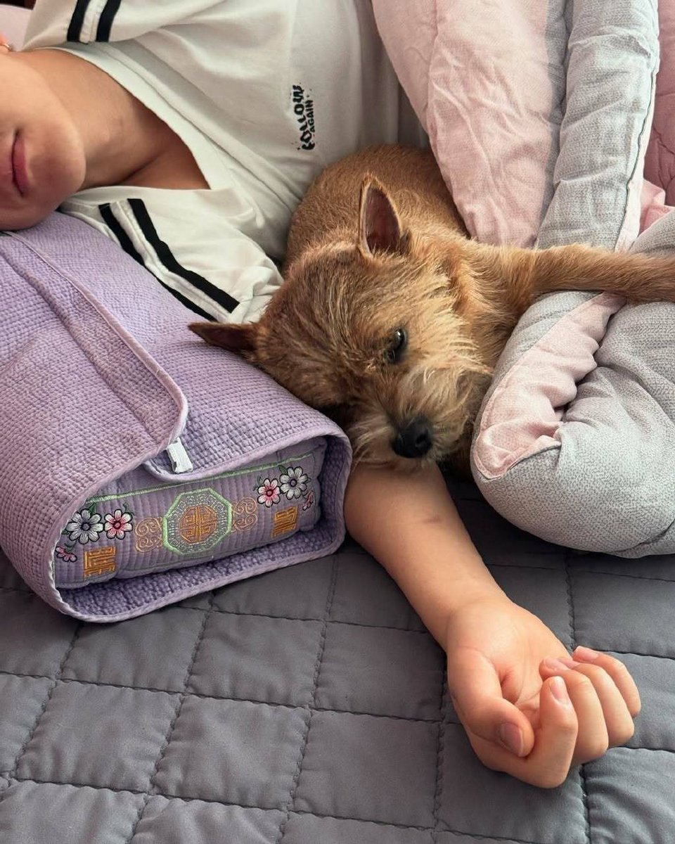 JulianaFieas's tweet photo. Mi perro me acompaa en cada pequea alegría, convirtiendo días ordinarios en momentos cálidos llenos de amor ， https://t.co/FzwiUf4ATr