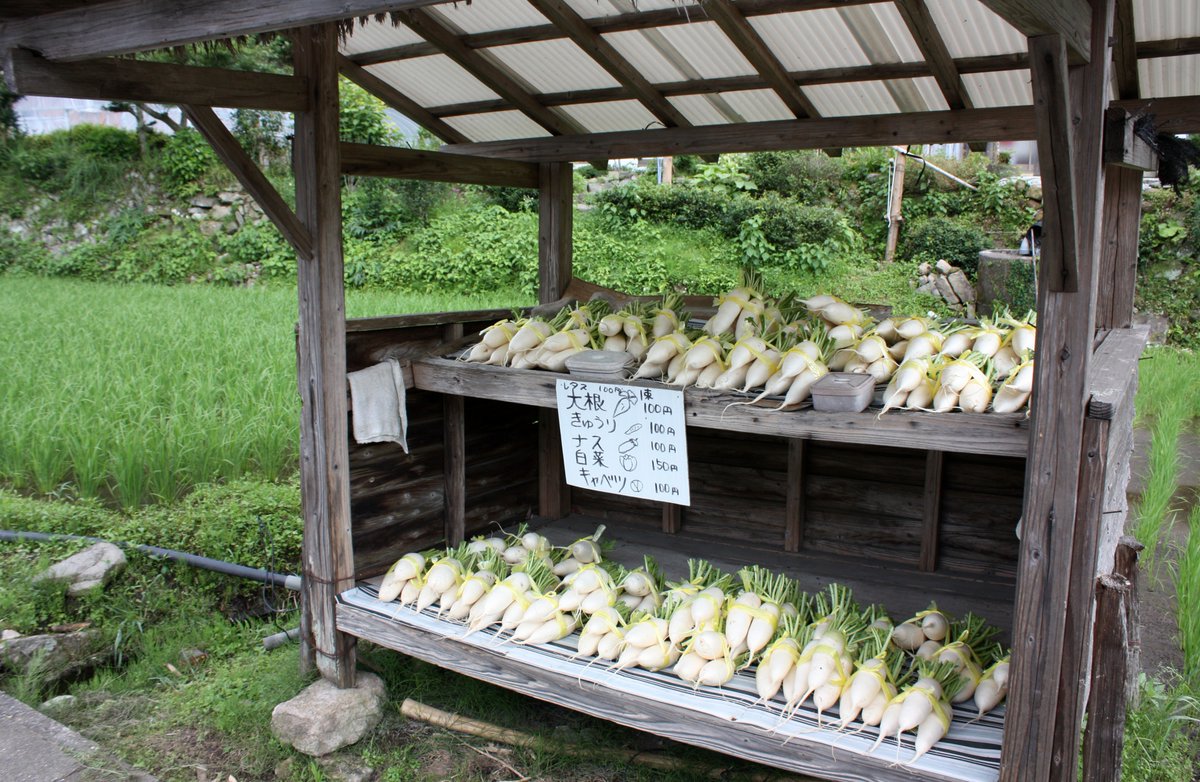 hoshusokuhou's tweet photo. 政治家のせいで日本の美徳だった性善説も完全に崩壊したな。
↓
【悲報】野菜の「無人販売所」が閉鎖に追い込まれる
↓
・泥棒被害で赤字「何度数えてもお金が足りない」
・税務署「お、無申告みっけ！税金払えよ」

防犯カメラの映像アップして泥棒は全員逮捕でいいわ。 https://t.co/9M3whKerM7