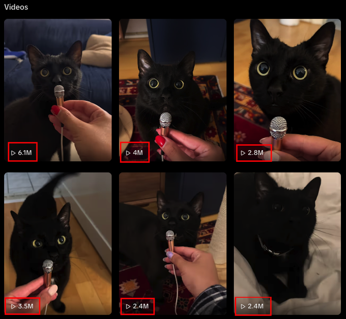 CoinHarb0r's tweet photo. KIMCHI WON'T STOP TALKING.
Kimchi María is the black cat behind the Pawdcast - tiny mic, huge opinions. Her latest episode hit 2.4M views in the last day.
https://t.co/6FGN5dE1uz
This isn't a one-off. Previous Pawdcast videos have repeatedly hit 2M-6.1M views.
$Kimchi
 - The Pawdcast Cat
