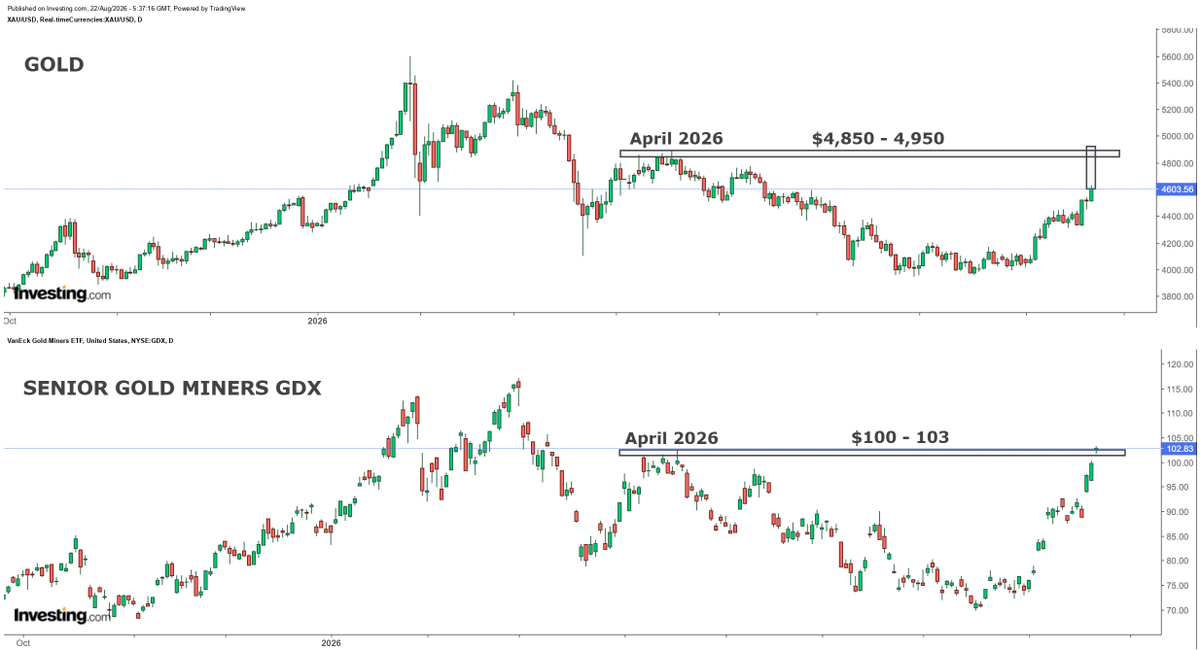 hajiyev_rashad's tweet photo. Gold vs GDX
Senior gold miners GDX already trading at its April highs while gold continues to lag. At present GDX price, gold was trading just under $5k in April 2026. Miners leading gold to such a strong degree suggests that smart money are positioning ahead of a bigger move in metals...
