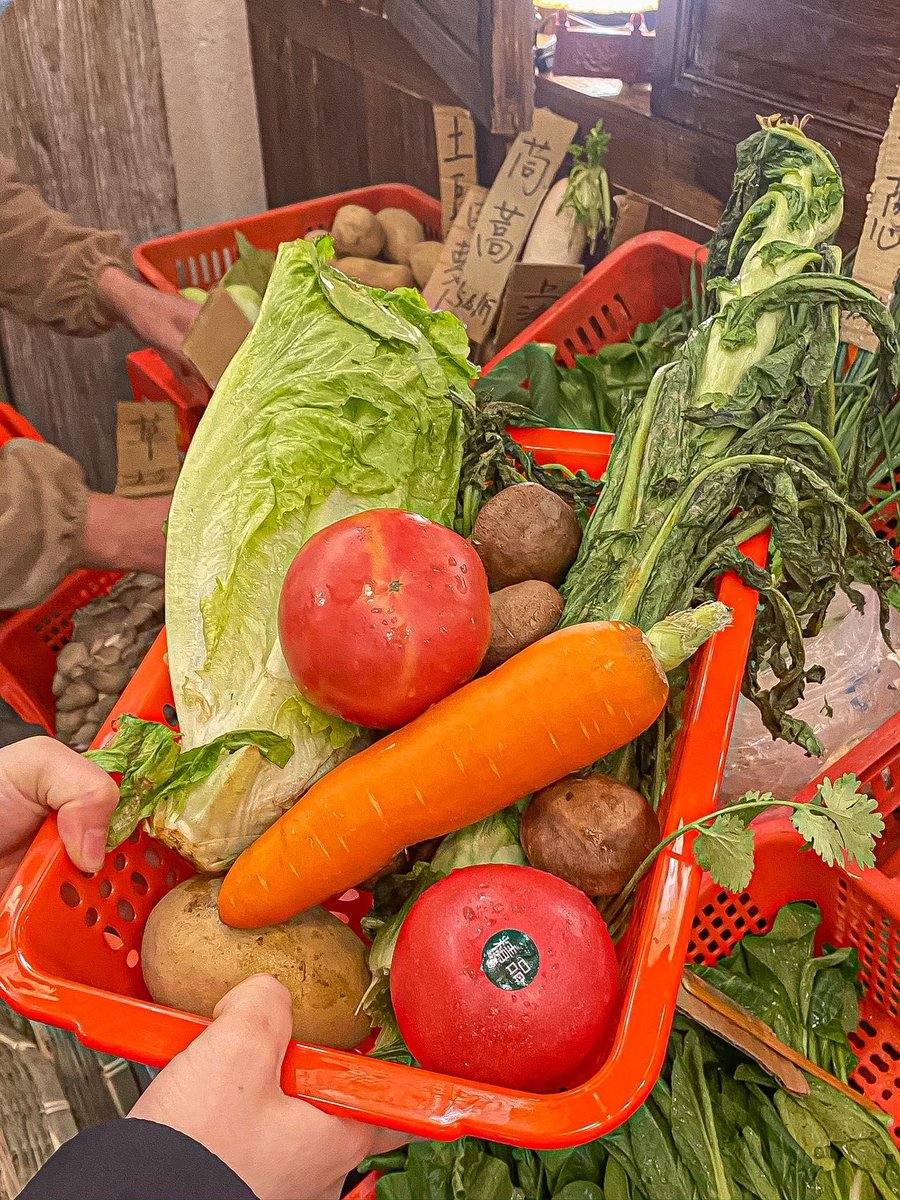 ansong_williams's tweet photo. Stocking up for the week! Fresh organic veggies, eggs and whole grains picked from the local market—healthy meals sorted. https://t.co/SuCwoTddMk