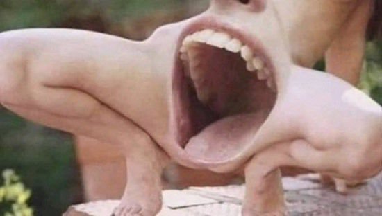 cocoide3's tweet photo. https://t.co/YqYBRCHJhi