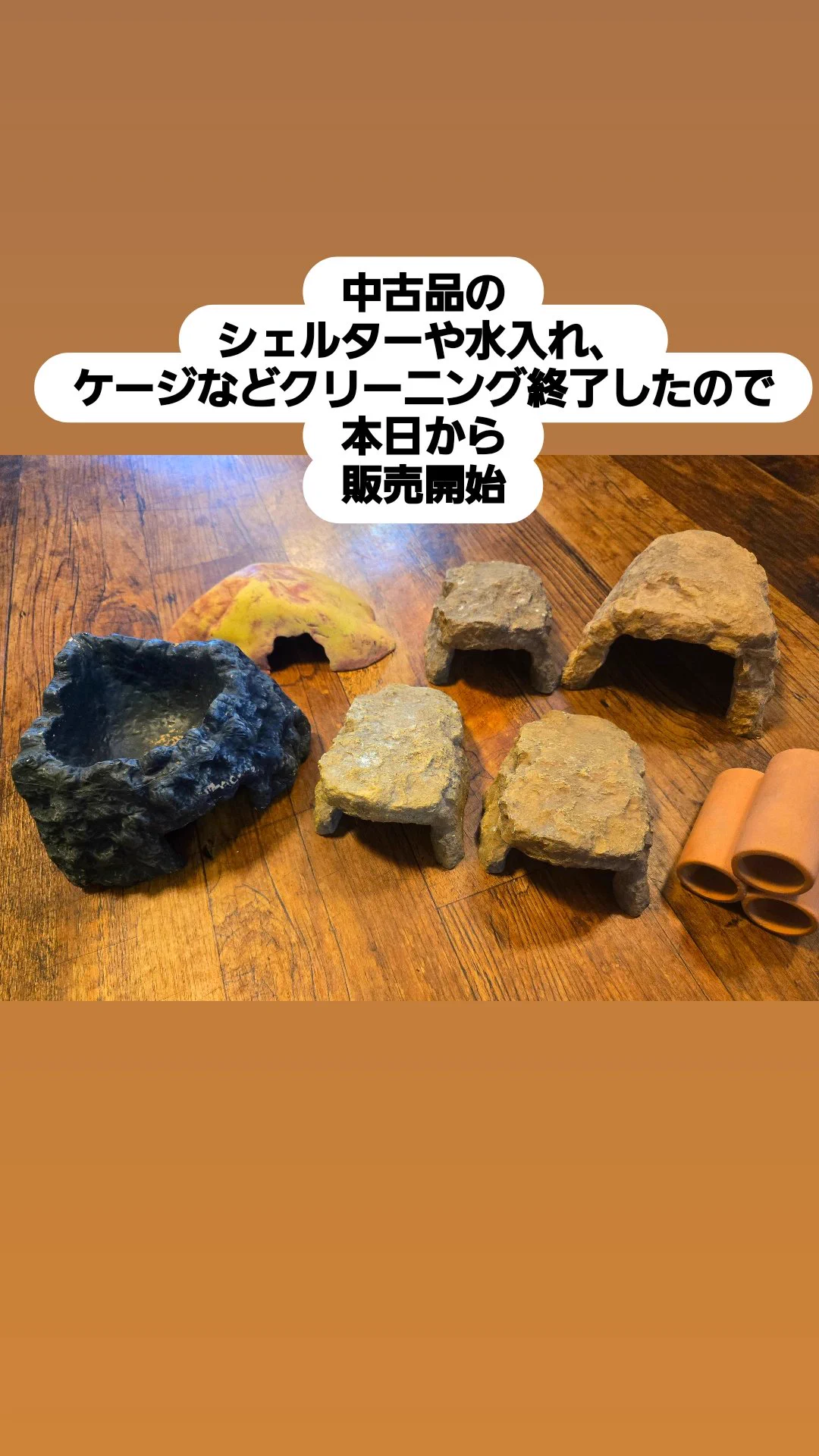 爬虫類専門店【𝙳𝙸𝚉𝚉𝚈 𝙿𝙾𝙸𝙽𝚃】東京第002225 on X