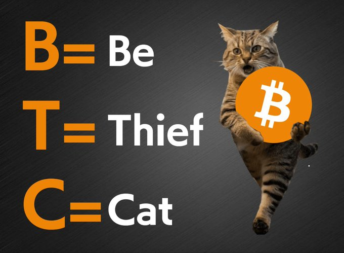 ThiefCatNAMIX's tweet photo. Be Thief Cat https://t.co/RDJdrQXvTi