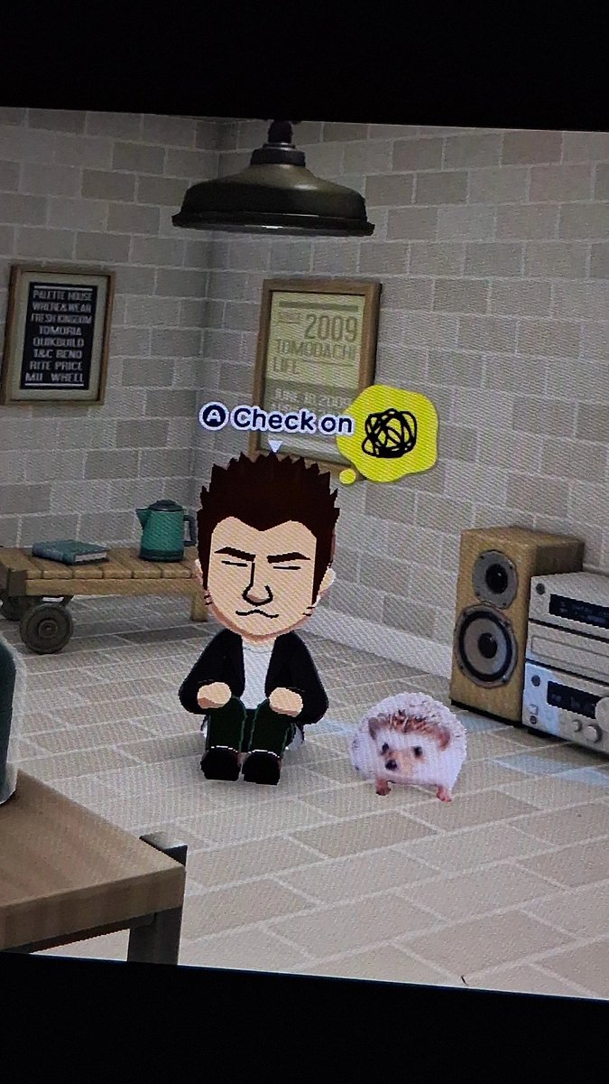 whatnowfriend's tweet photo. I love my frank tomodachi look at him  (and my self insert) they had a daughter and its just a spitting image of frank😭 https://t.co/MBVg6gJ1mK