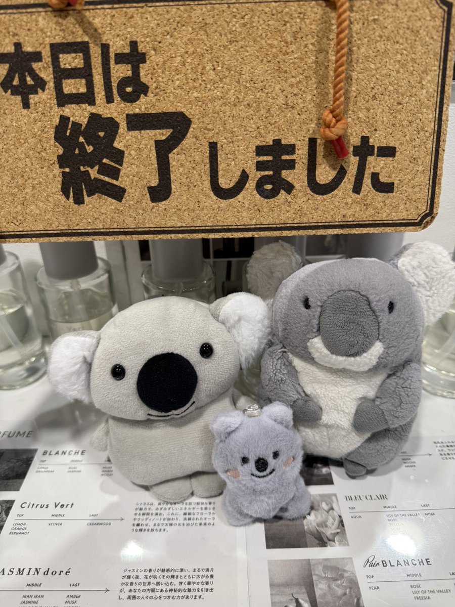 hcp_337's tweet photo. 今日もたくさんのご来店、ありがとうございました😊
ヘアカラープラザ本日の営業終わりました☑️
明日8月23日(日)🔴はお休みです🎌
営業開始は
8月24日（月）⚪️🈺
▶️《受付時間》⏹️
11:00〜18:00です‼️
ご来店お待ちしております🙇‍♂️🙇‍♀️

📍新橋駅すぐ、ニュー新橋ビル3階
#白髪染め
#新橋カラー
#予約不要 https://t.co/d9i2vfeeZ2