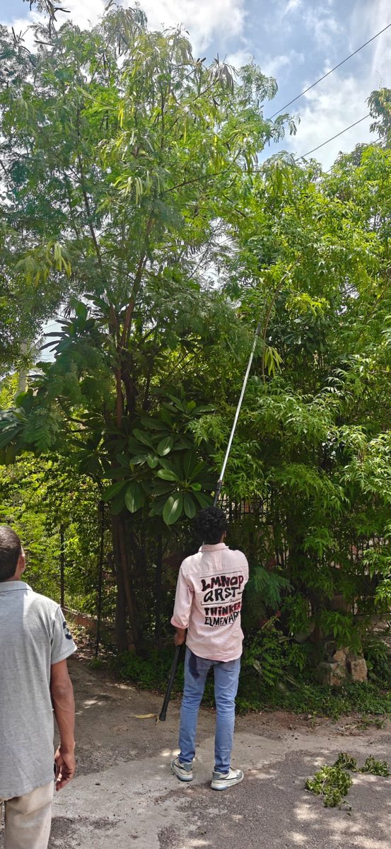 focsecbad91980's tweet photo. @ajayprakash1000 @tgspdcl Tree branches removed sir https://t.co/PztwCJFwkX