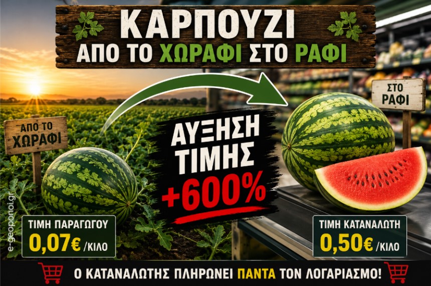 egeoponoi's tweet photo. Καρπούζι: 0,07€ στο χωράφι… 0,50€ στο ράφι. Αύξηση +600% https://t.co/mMUzYx1N1Y https://t.co/NMS8dwIuxN