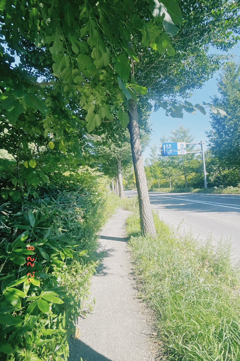 _Nemu529's tweet photo. この夏満喫した https://t.co/sKX1Cg30NS
