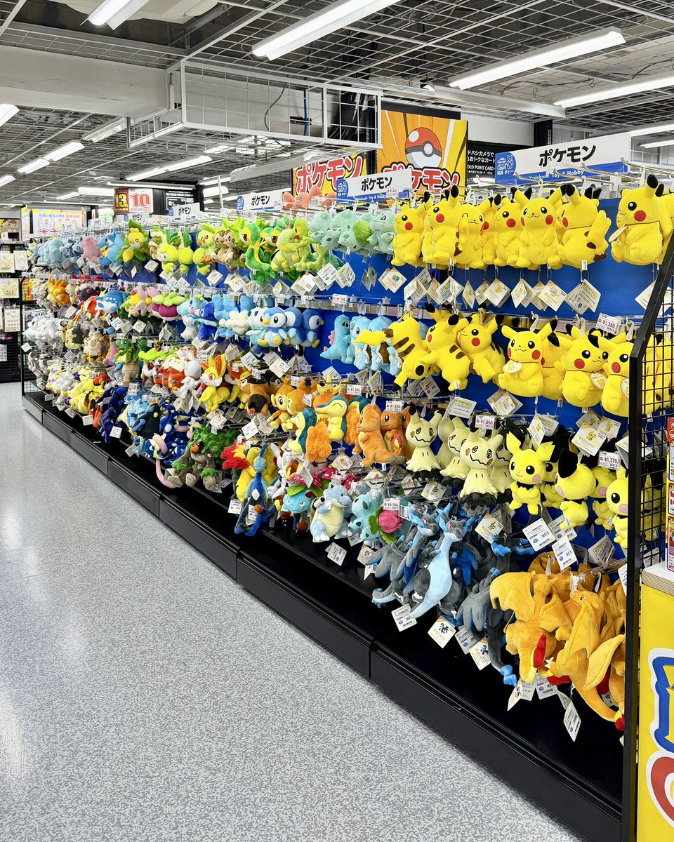 pikachu_pcn's tweet photo. ポケモンのぬいぐるみ売場
5面あります

ヨドバシカメラ マルチメディア池袋にて https://t.co/FgMYkMWvyH