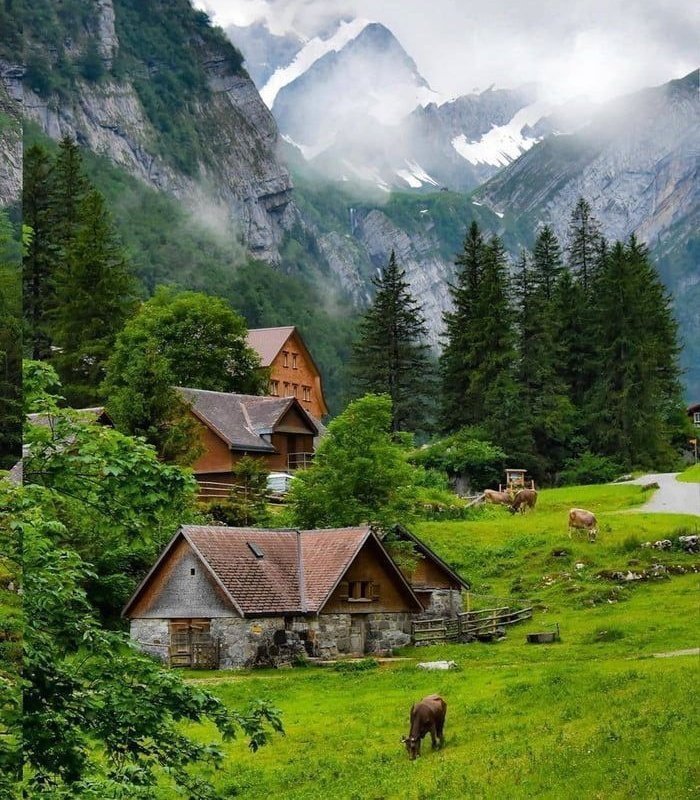 soylebisakinlik's tweet photo. Switzerland https://t.co/kSkBYbI2ym
