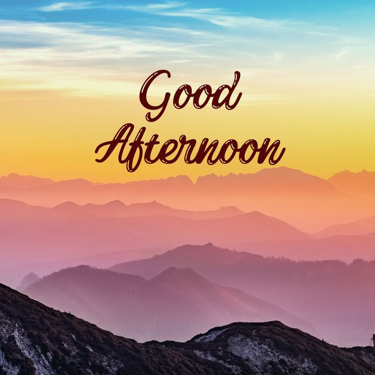MariaBalochPK's tweet photo. Good Afternoon! ☀️🌿

The morning has passed, but there is still plenty of time for the day to bring something beautiful. Whatever happened earlier, don't allow one difficult moment to steal the peace from the rest of your day.

Take a breath, reset your thoughts, and keep moving forward with faith. May Allah ease your worries, bless your efforts, put barakah in your time, and bring good news when you least expect it. 🤲✨

Wishing you a peaceful, productive, and beautiful afternoon! 🌸