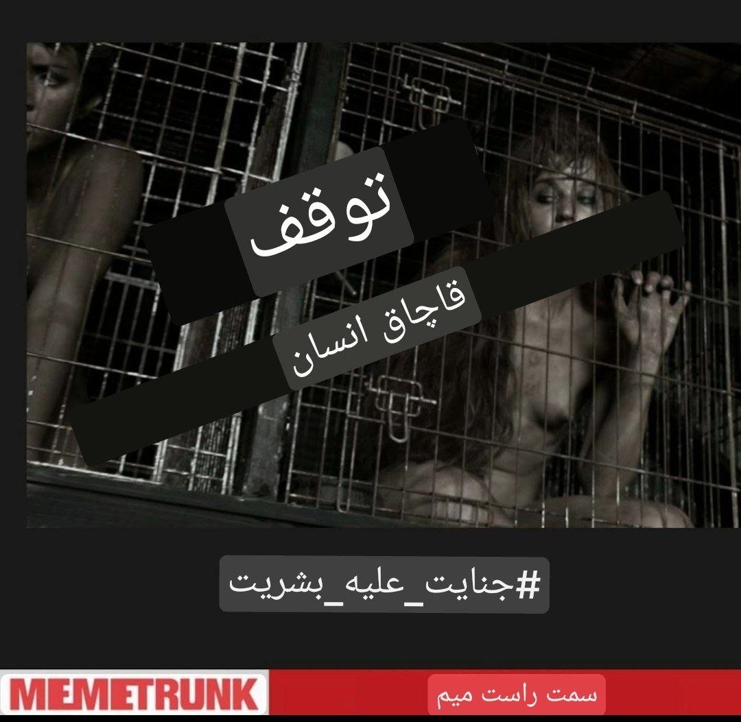 Lightworker_17Q's tweet photo. قاچاق انسان
 جنایت علیه بشریت
 
برای خدا و کشور و بانوان و کودکان میجنگیم🫡🩵

+Q

#بیداری #آگاهی #قاچاق_کودکان https://t.co/NmmUicKj7f