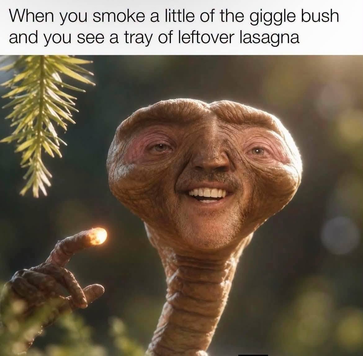 SJsMemes420's tweet photo. https://t.co/KOu2McB1rd