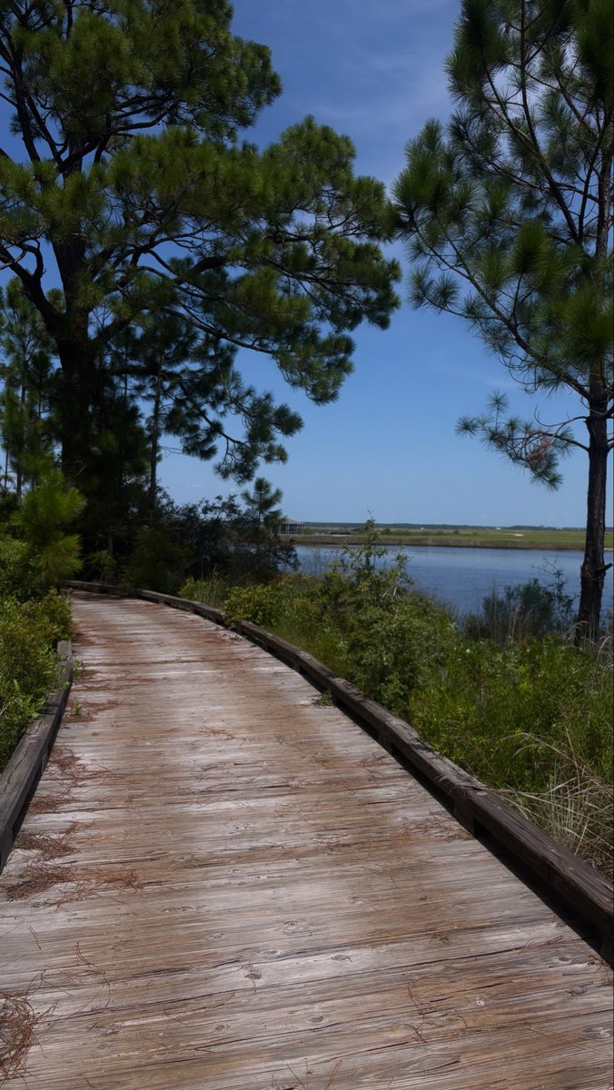 wuvmira_'s tweet photo. Trail walks>>> https://t.co/J0EuEZkaR4