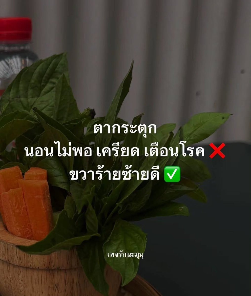__zpjrz's tweet photo. สิ่งศักดิ์สิทธิ์ สิ่งศักดิ์สิทธิ์ 😅 https://t.co/4UxfCHCenO