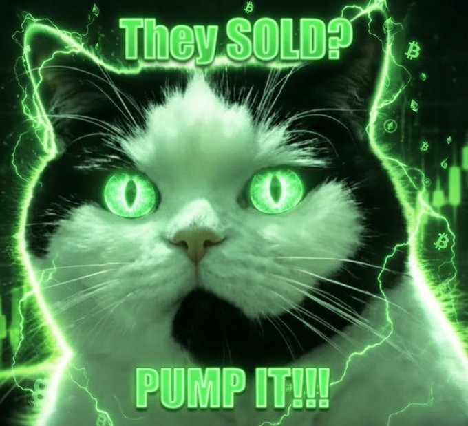 CallCatCoinSol's tweet photo. $CALLCAT https://t.co/3UHyTHPswH