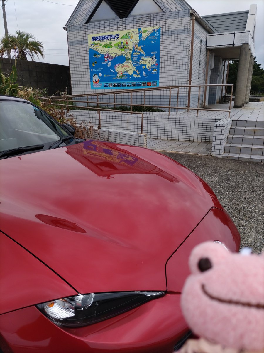 greenroadtopeac's tweet photo. 近畿の天気予報みてたらいつも串本が一番気温が低いなーって思っててん🐸
でも行ってみたらホンマに涼しかった🐸 https://t.co/S6O4G8WJJ8