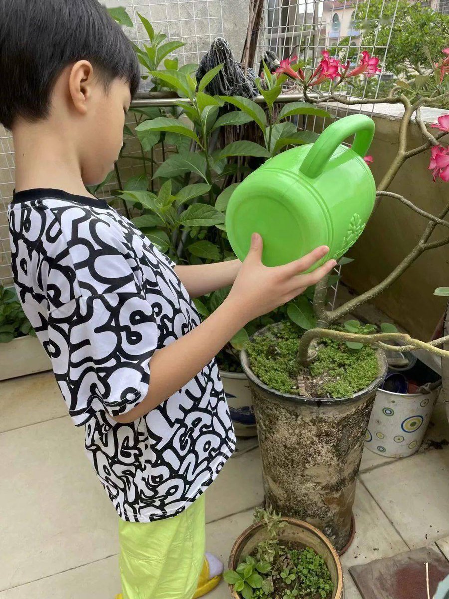 igcreamm1's tweet photo. Caught our neighbor's kid watering plants with a tiny water can—we left a big bucket of refill water out for him today! Small neighborhood wins hit different https://t.co/HljZZ5LcWA